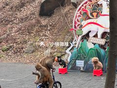 -洛阳花果山景区