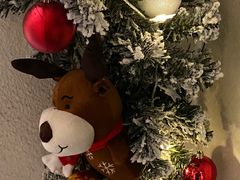 -伊斯坦布尔土耳其清真咖啡餐厅