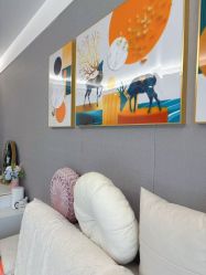 -哈颜科技轻美·