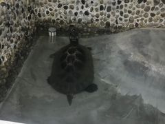 -上海大自然野生昆虫馆(东方明珠·爬宠昆虫探索中心)