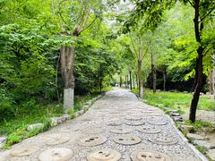 -十渡东湖港风景区