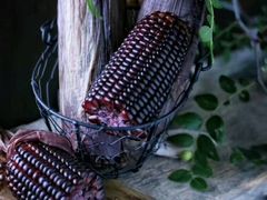 -鸿港海鲜批发市场