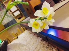 -汤泉良子(金源店)