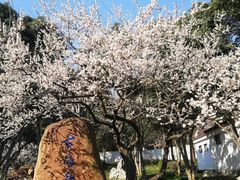 -无锡梅园公园