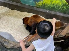-海合安成都极地海洋公园