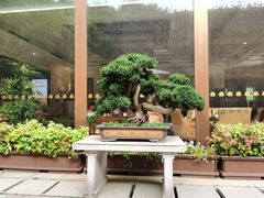 -南京东郊国宾馆