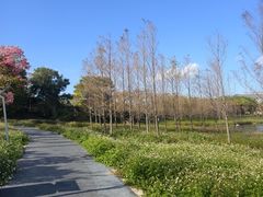 -琅岐红光湖公园