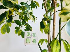 -AHAVA·Fang Baking Studio