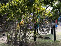 -MICC蒙世学堂幼儿园(灵山校区)