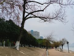 -武昌江滩