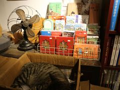 -正阳书局(西四南大街店)