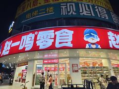 -赵一鸣零食(广东佛山大沥镇嘉洲店)