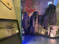 -诸城市恐龙博物馆