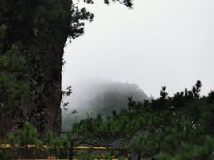 -明月山风景名胜区