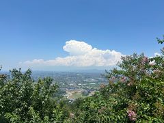 -杭州半山国家森林公园