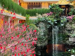 -广州白天鹅宾馆