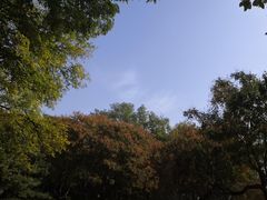-玲珑塔公园