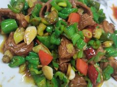 尖椒肥肠-瑜瑜饭馆