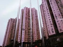 -水围村