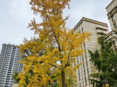 -安泰安蓉锦江宾馆(一品天下茶店子地铁站店)