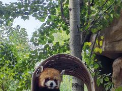 -北京野生动物园