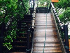 -天目湖山水园