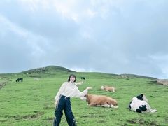 -灵山