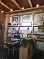 -芒果树国际儿童摄影(月亮河店)