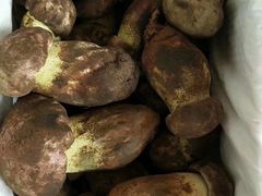 -顺风山庄(水濂山店)