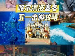 -哈尔滨波塞冬海底世界