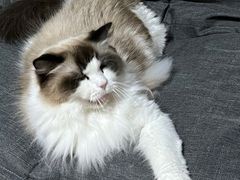 -零纪元VR体验馆·桌游(黄浦店)