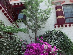 -拉萨圣地天堂洲际大饭店-自助餐厅