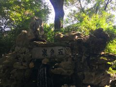 -上海醉白池公园