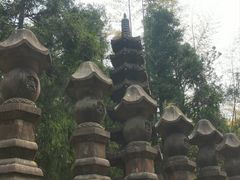 -玉苍山国家森林公园