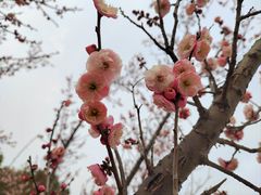 -南湖湿地公园