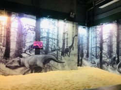 -恐龙探索乐园(磁器口店)