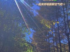 -洛阳白云山景区