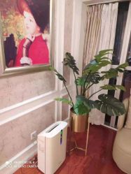 点击看大图 -茜尔维亚修身连锁