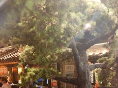 -绿茶餐厅(财富购物中心店)
