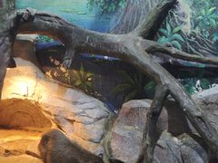 -福州罗源湾海洋世界旅游区