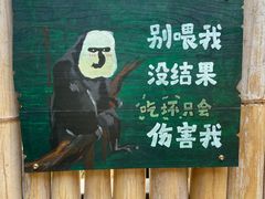 -鸡鸣汤包(红山动物园店)