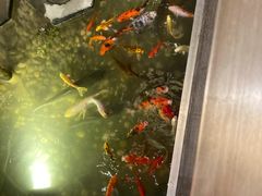 -衡山汇·高级粤菜(霄云路店)