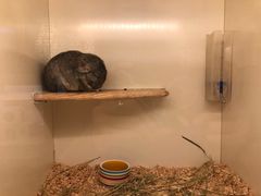 -龙猫仔乐园(惠福东路店)