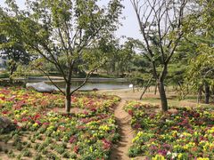 -羊亭河湿地公园