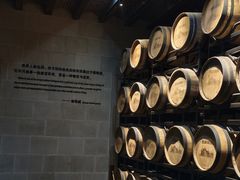 -龙谕酒庄