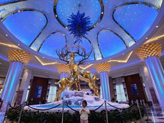 -雪龙轩中餐厅(银基冰雪酒店)