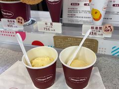 芒果雪糕-哈根达斯(天河城店)