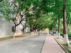-山东师范大学(千佛山校区)