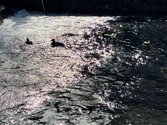 -水磨沟公园