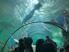 -洛阳龙门海洋馆